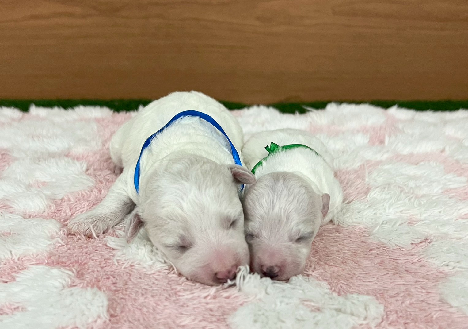 赤ちゃん写真1-3