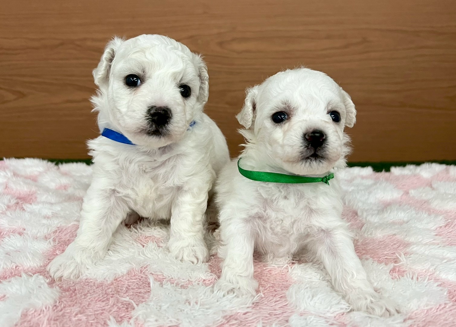 赤ちゃん写真2-3