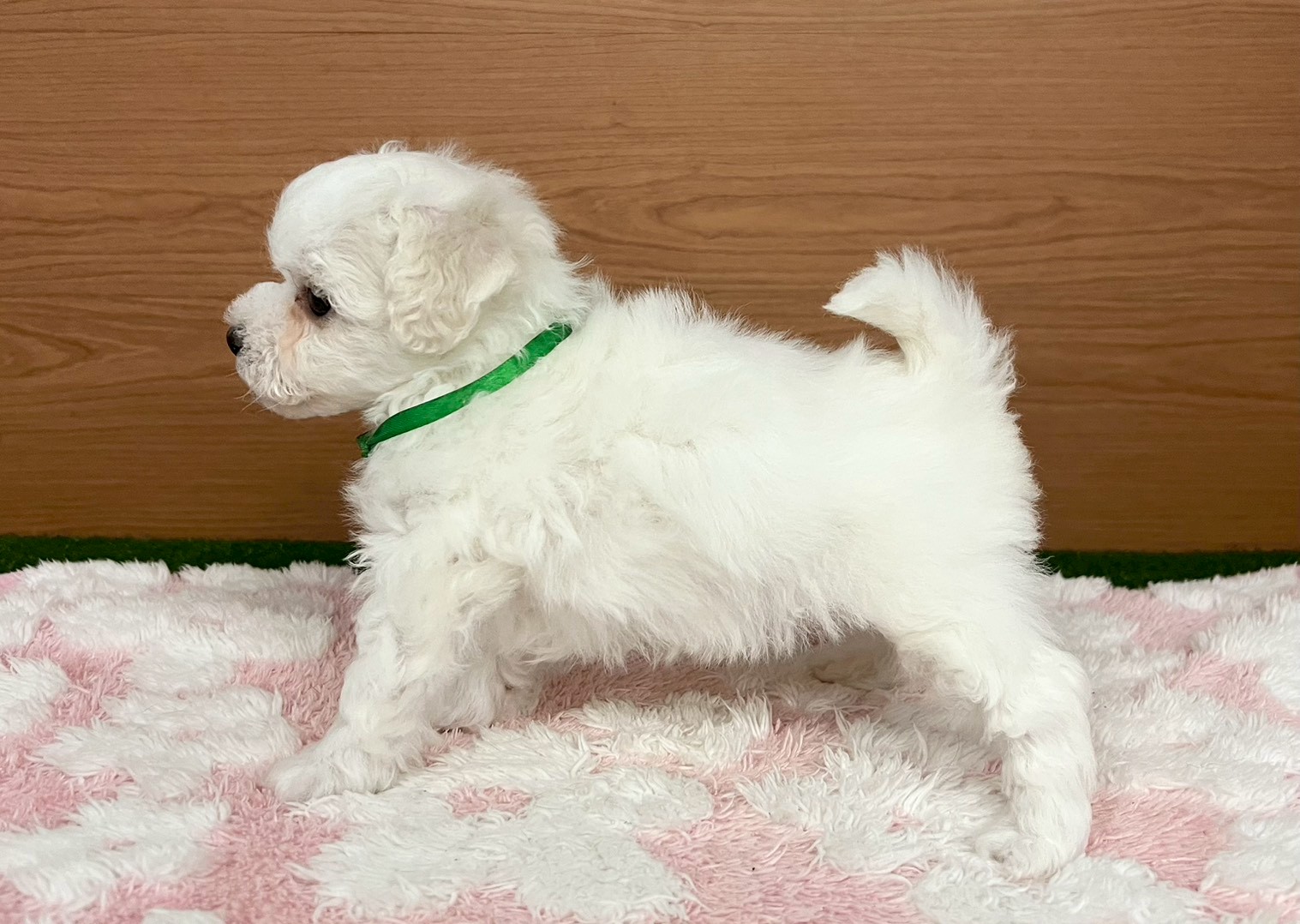 赤ちゃん写真3-2