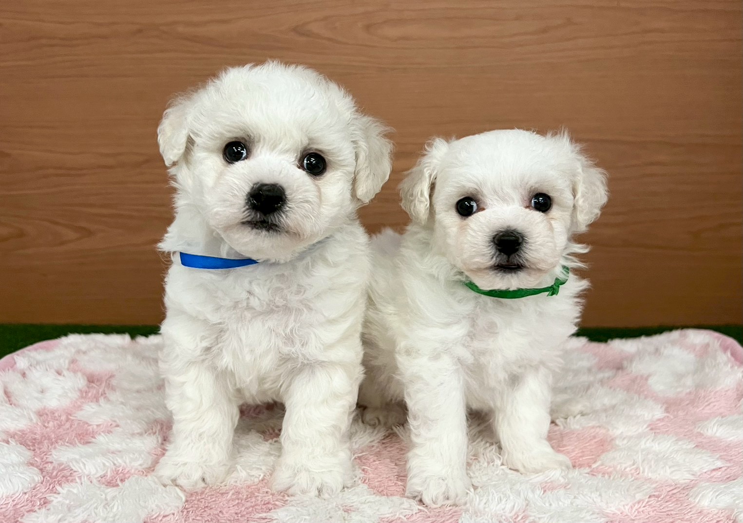 赤ちゃん写真3-3