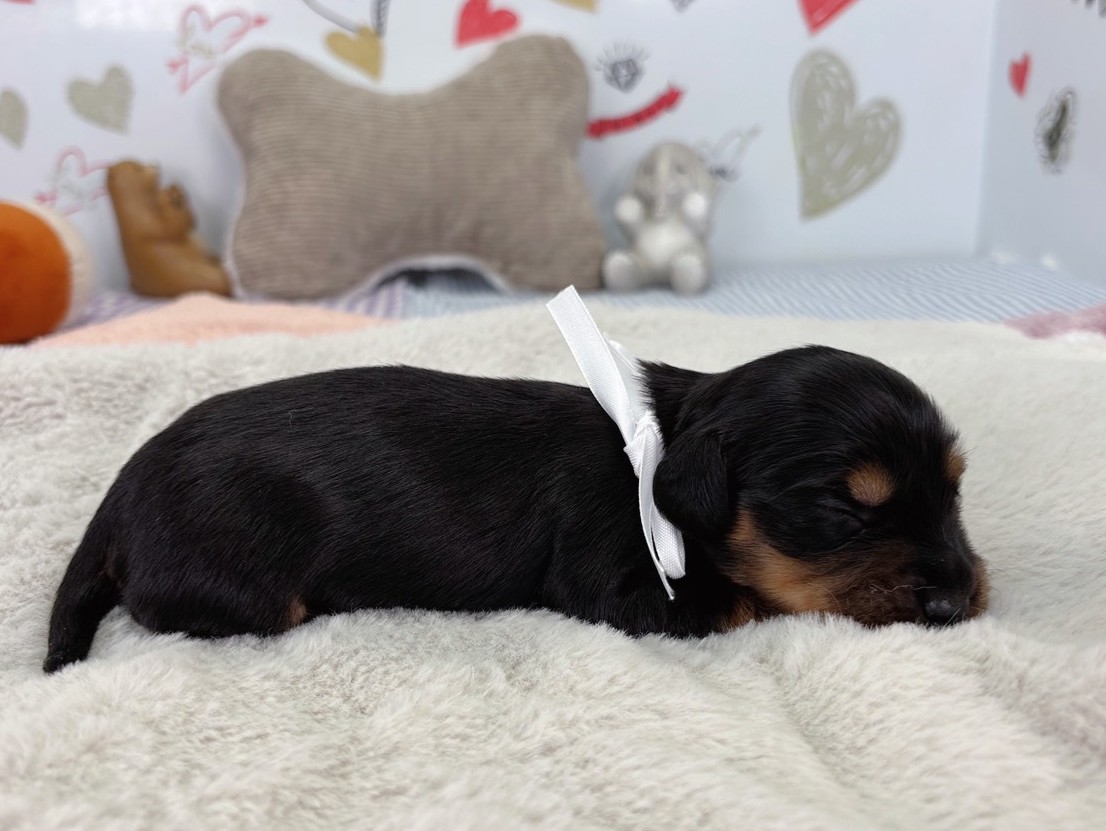 赤ちゃん写真1-2