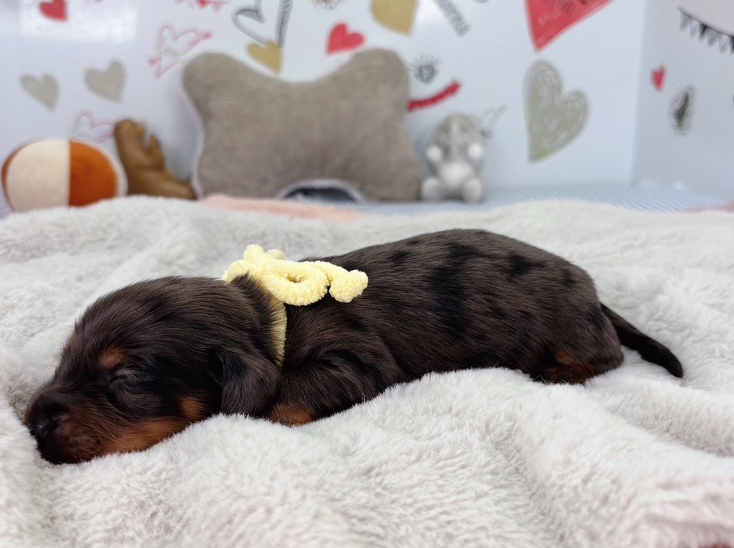 赤ちゃん写真1-2