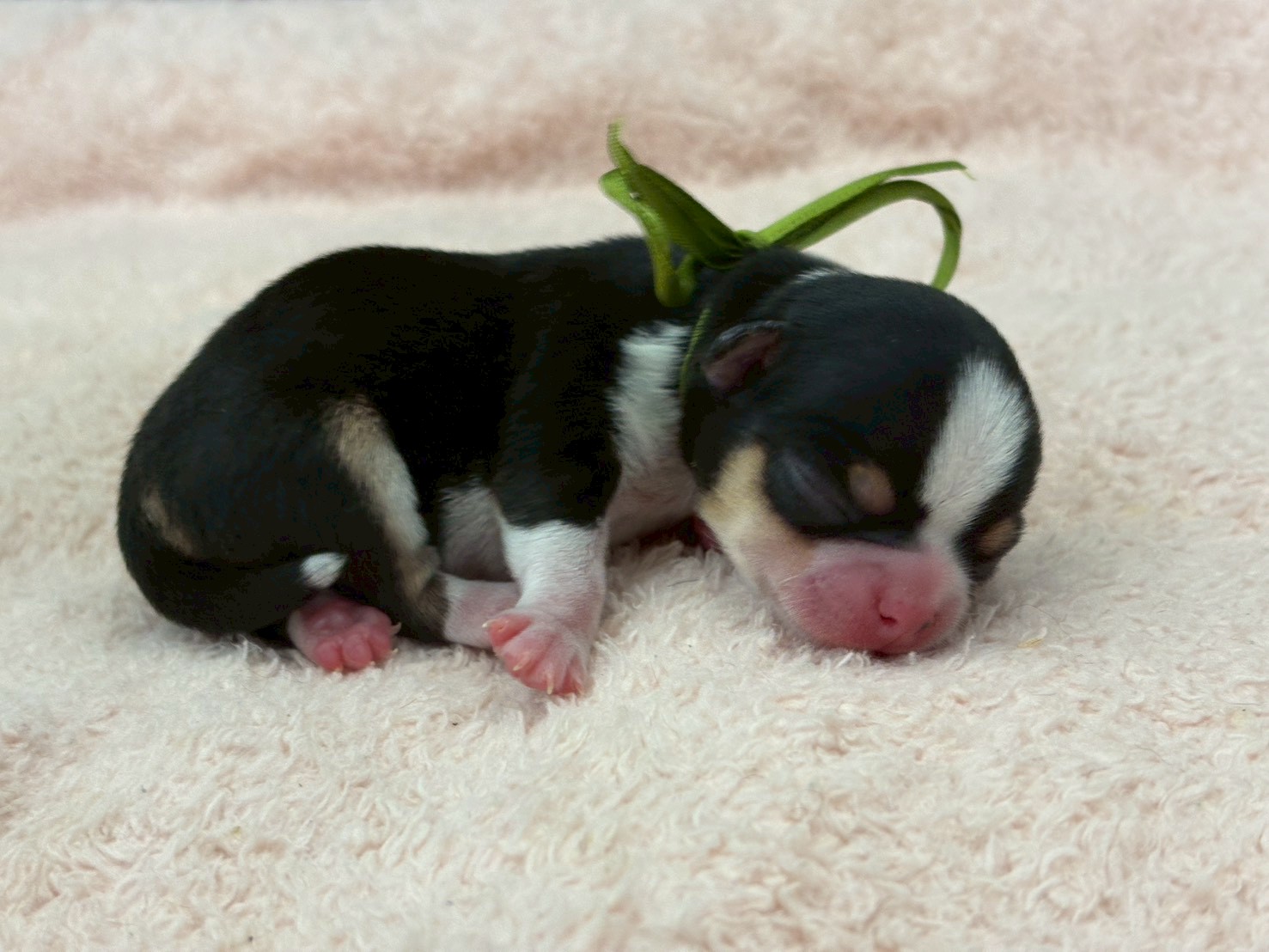 赤ちゃん写真1-2