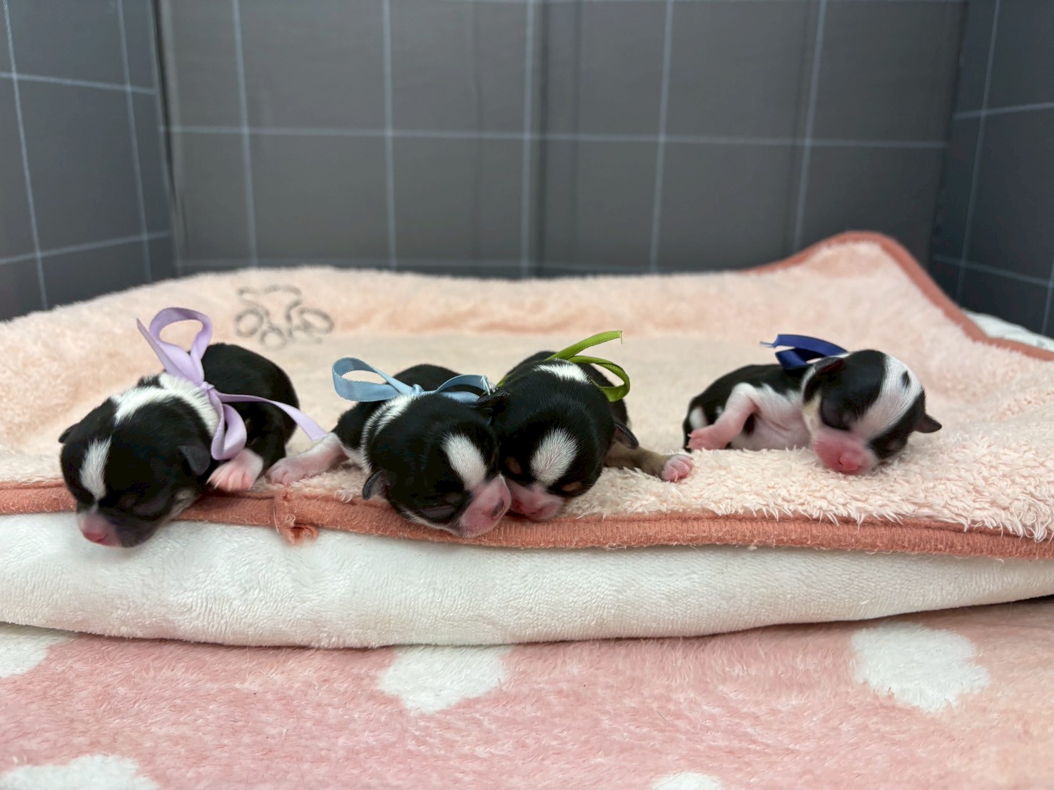 赤ちゃん写真1-3