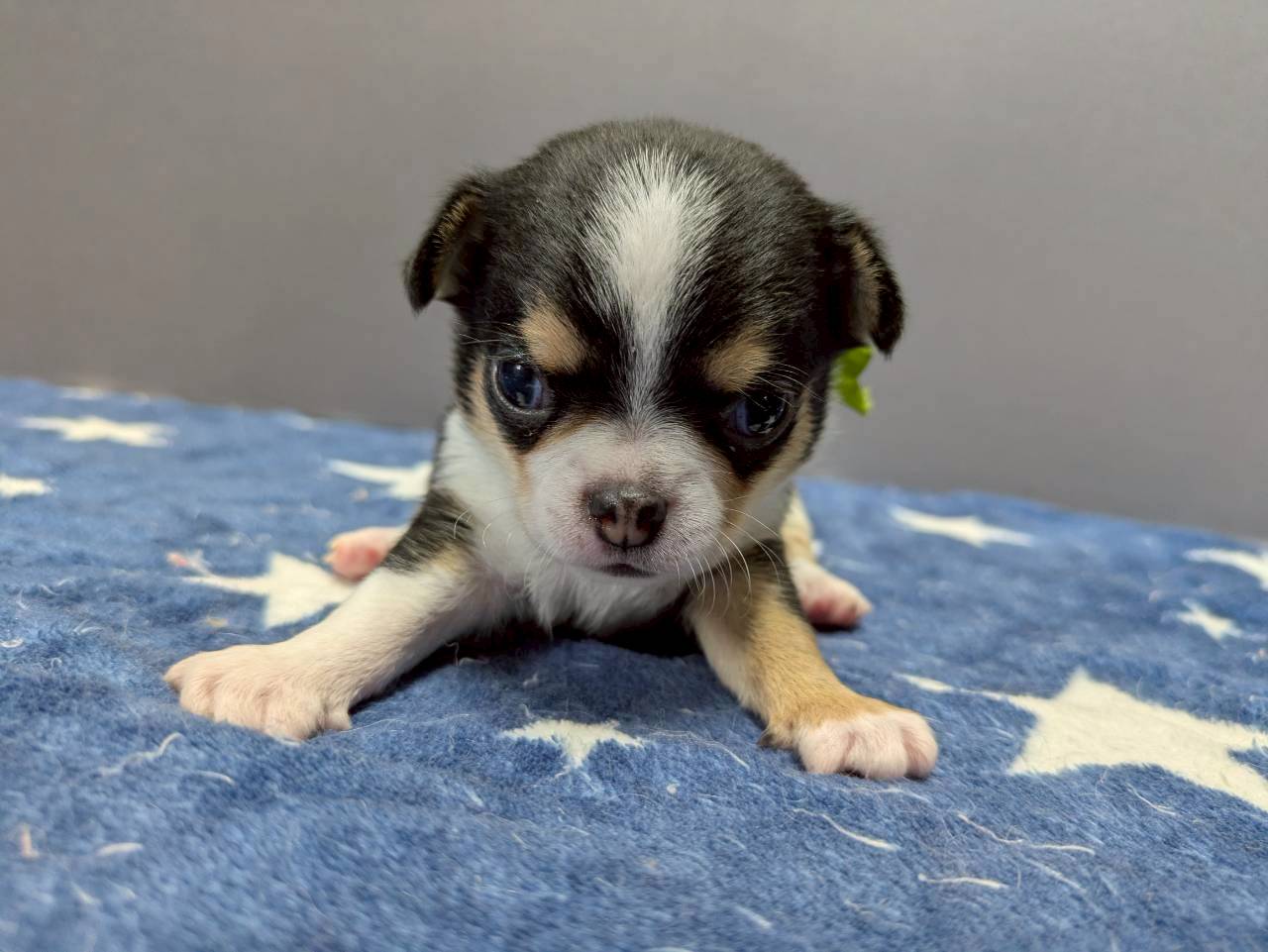 赤ちゃん写真2-1