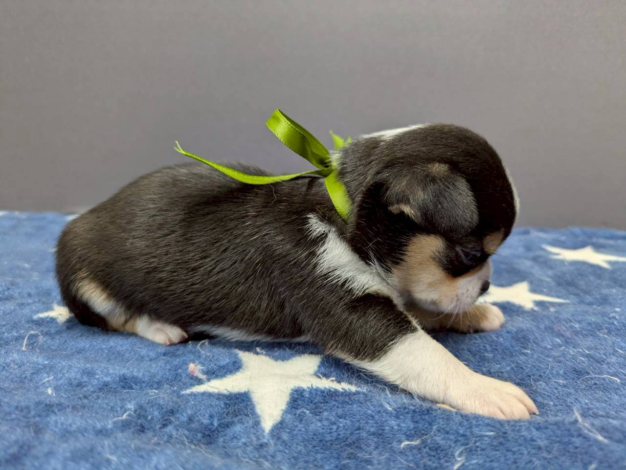 赤ちゃん写真2-2