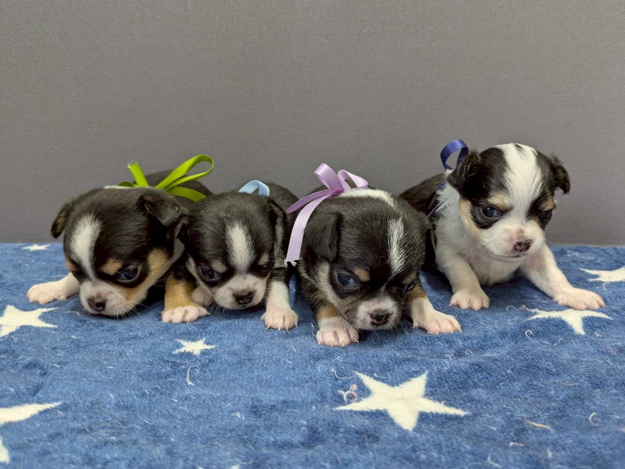 赤ちゃん写真2-3