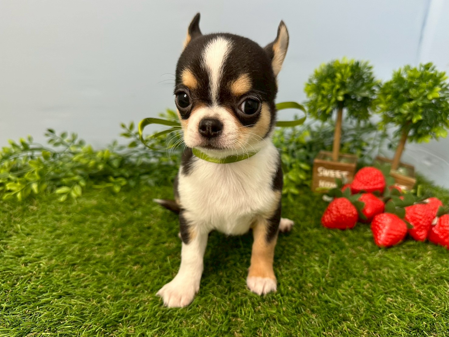 赤ちゃん写真3-1