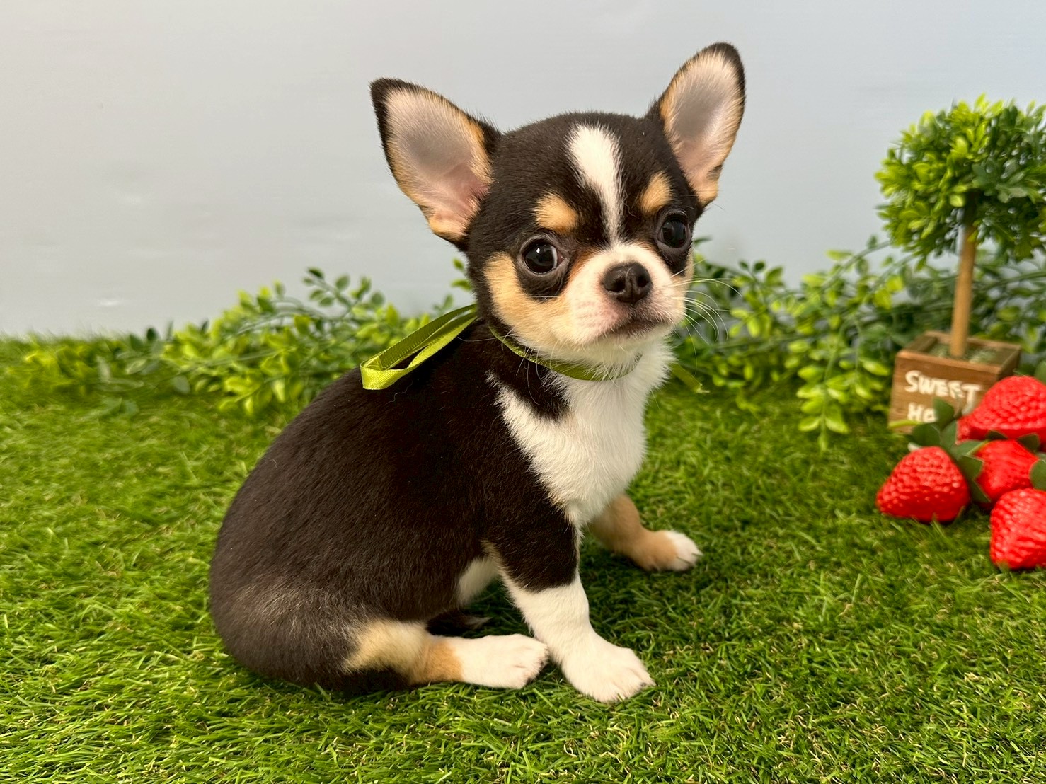 赤ちゃん写真3-2