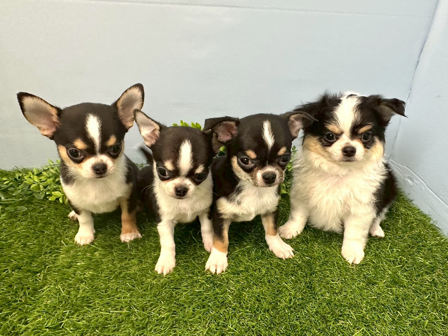 赤ちゃん写真3-3