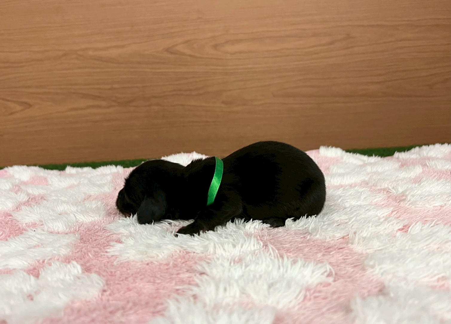 赤ちゃん写真1-2