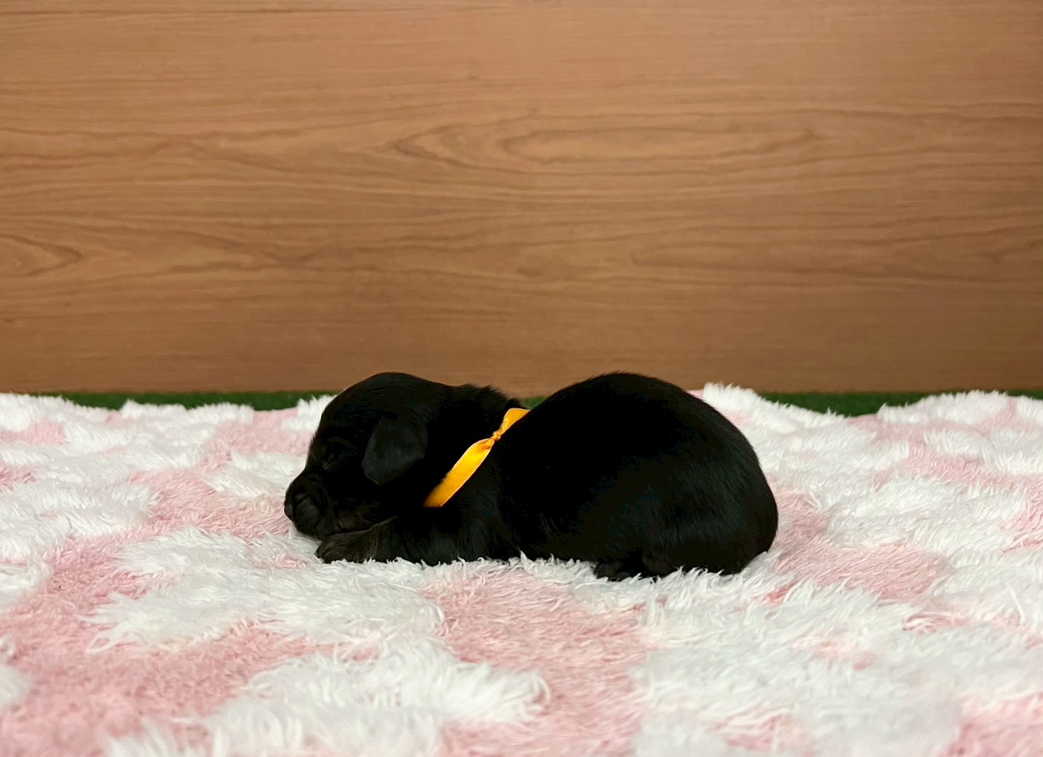 赤ちゃん写真1-2