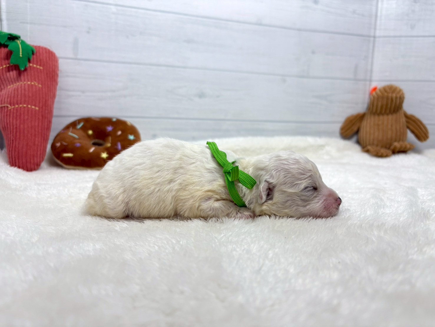 赤ちゃん写真1-2