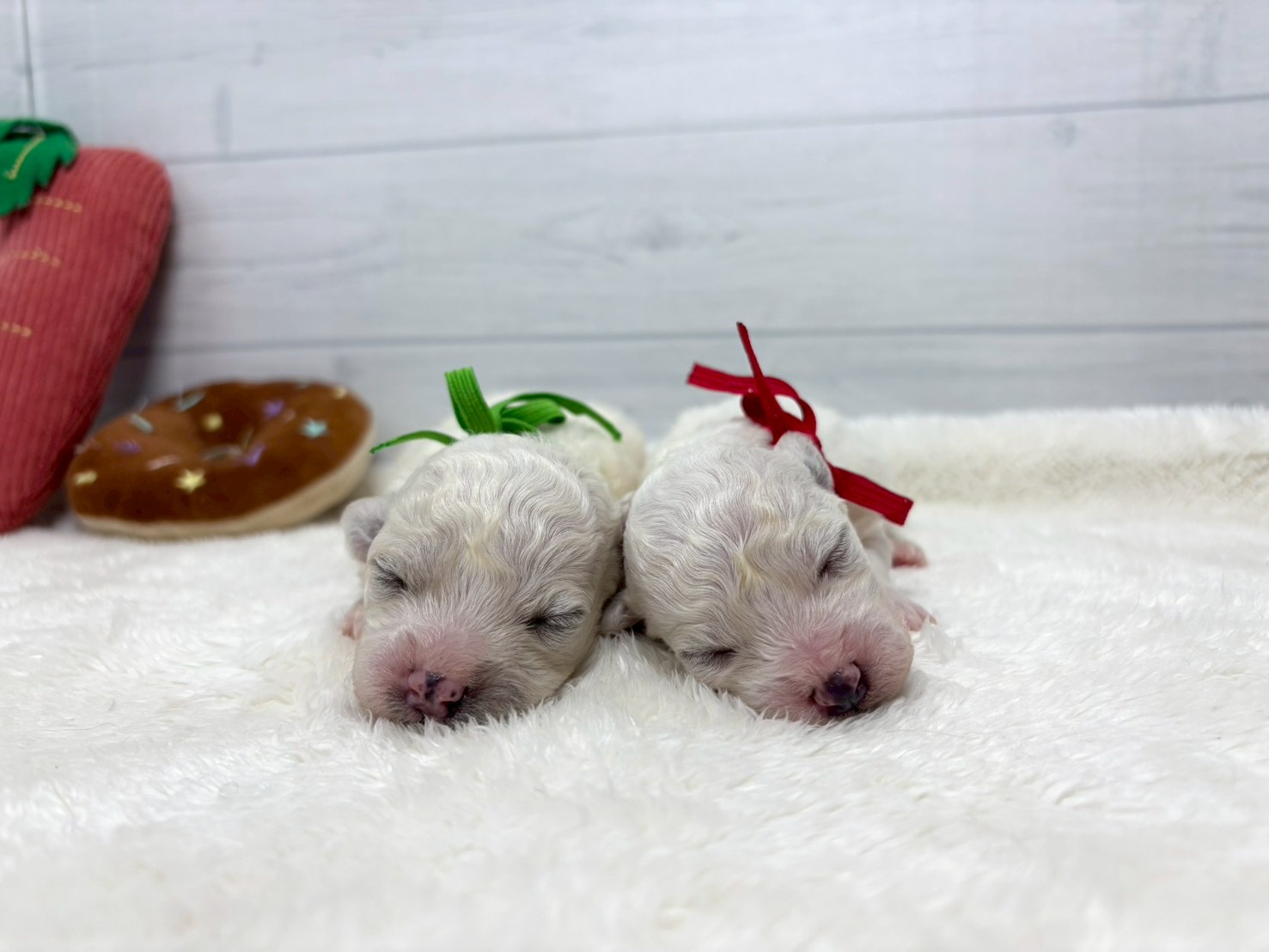 赤ちゃん写真1-3