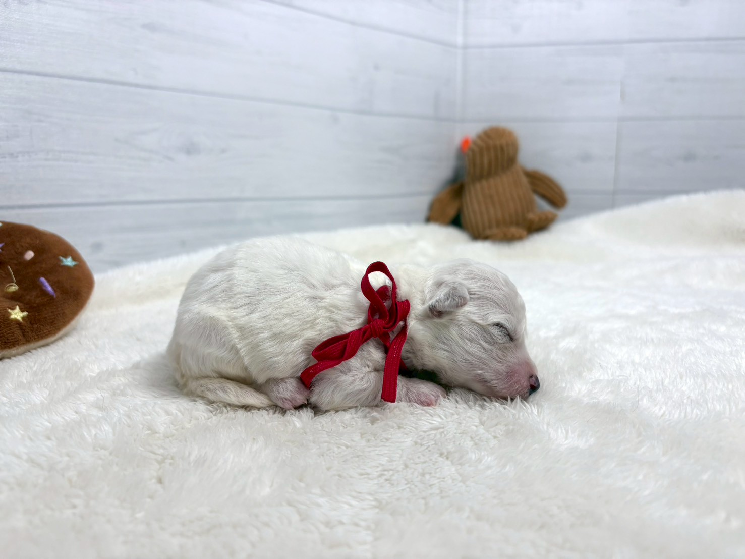 赤ちゃん写真1-2