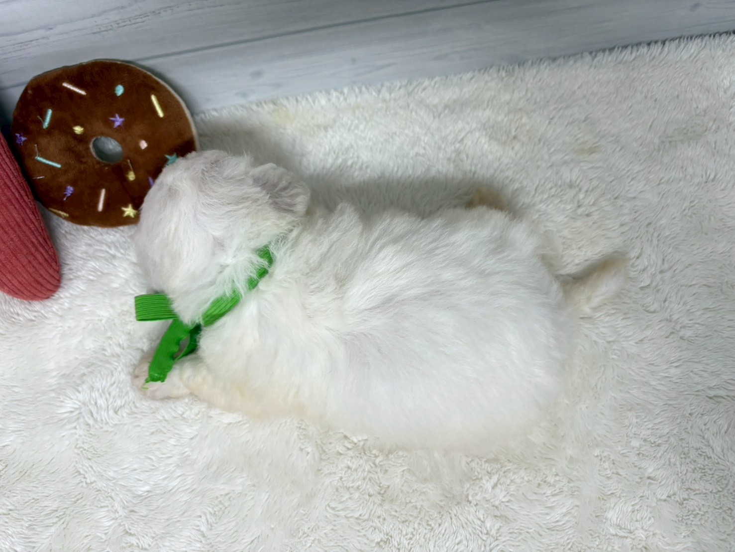 赤ちゃん写真2-3