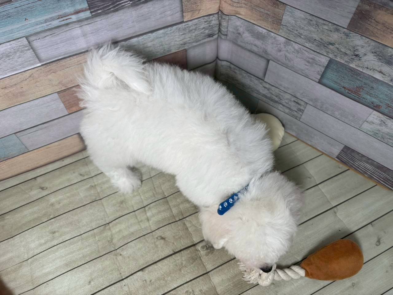 赤ちゃん写真3-3