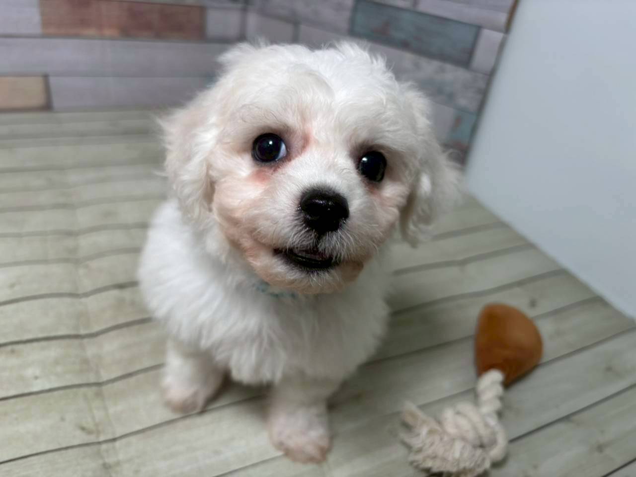 赤ちゃん写真3-1