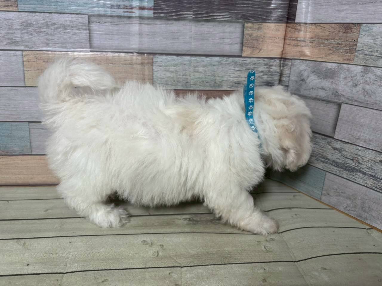 赤ちゃん写真3-2