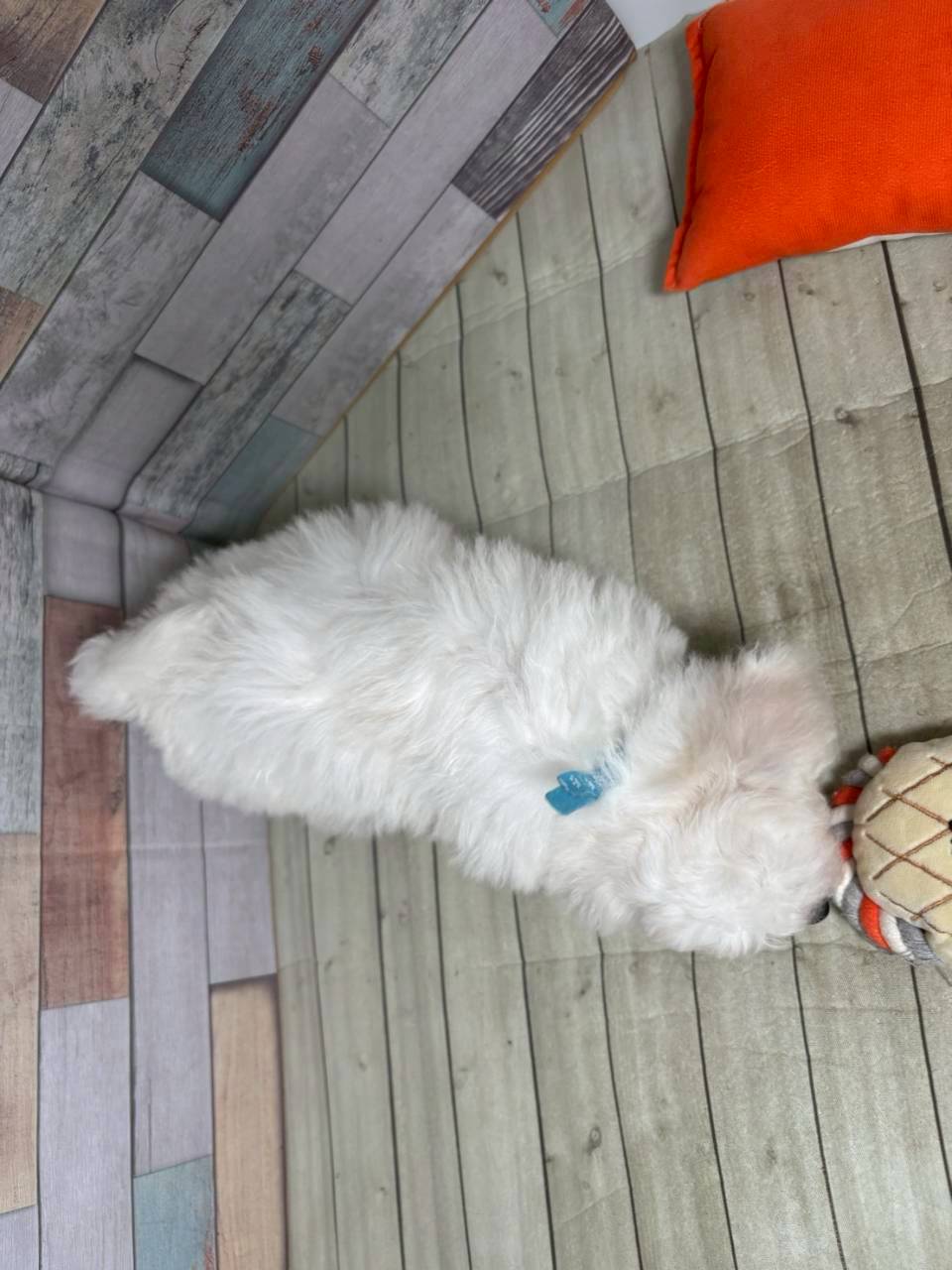 赤ちゃん写真3-3