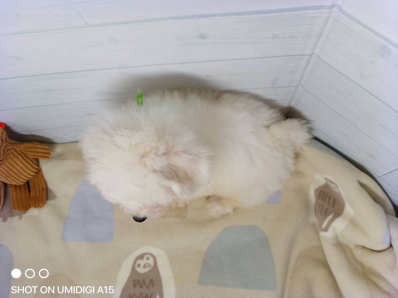赤ちゃん写真3-3