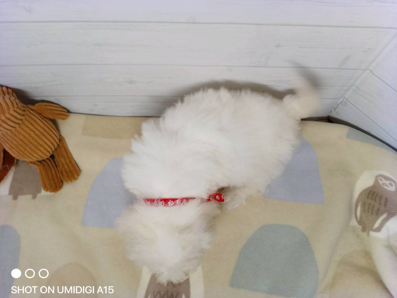 赤ちゃん写真3-3