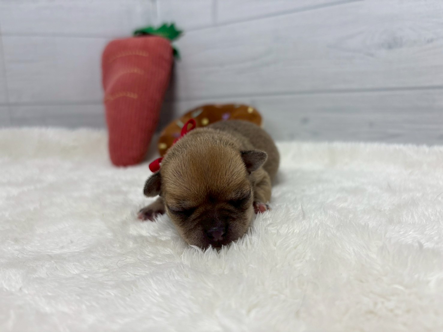 赤ちゃん写真1-1