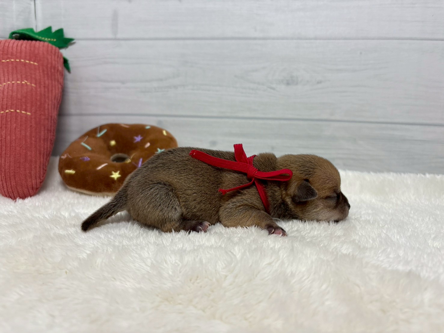 赤ちゃん写真1-2