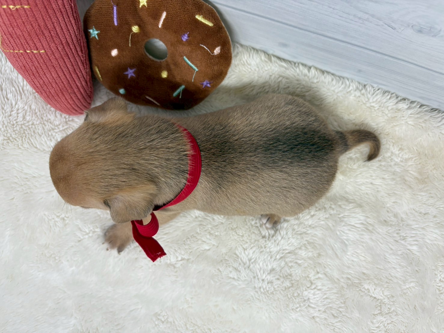 赤ちゃん写真2-3