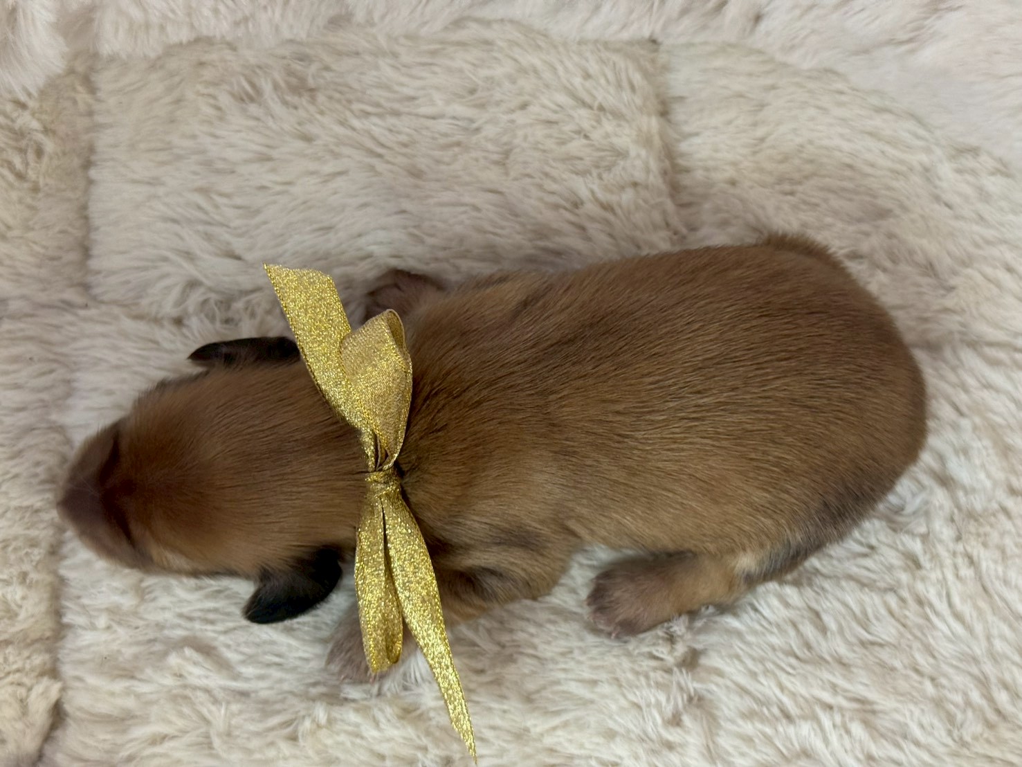 赤ちゃん写真1-3