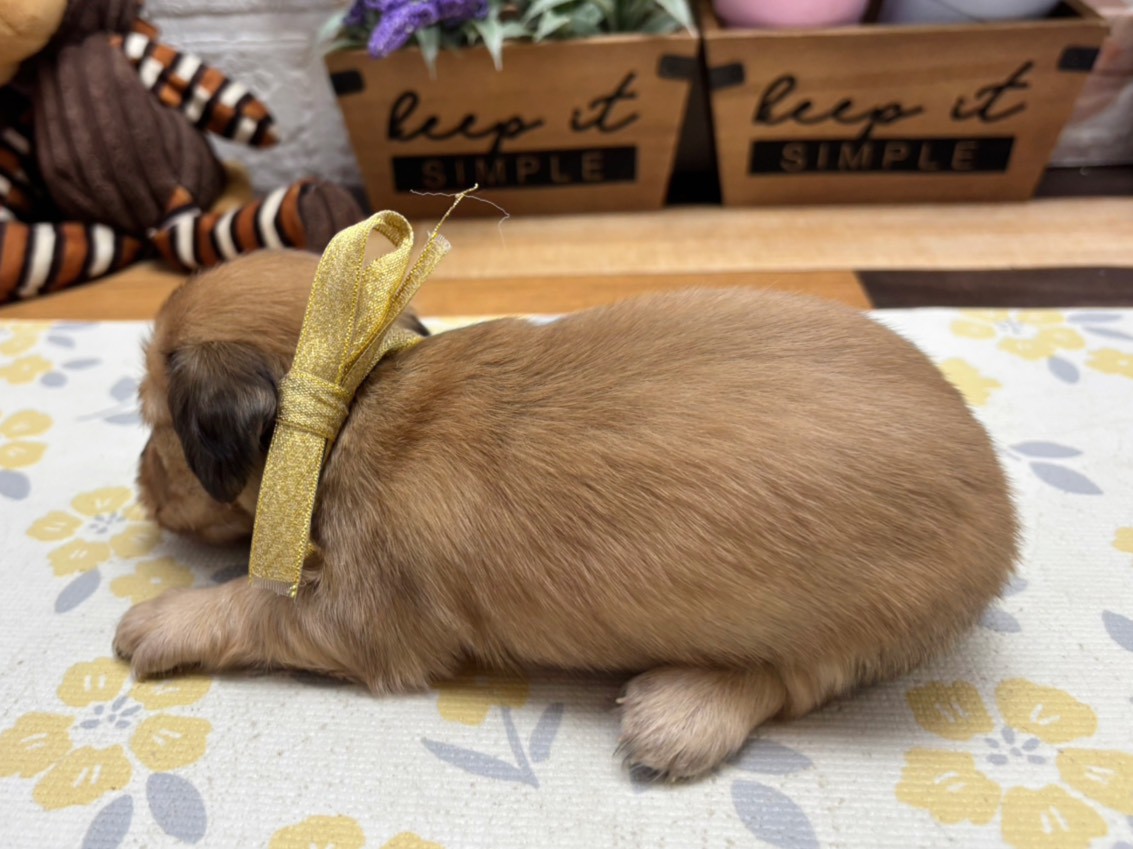 赤ちゃん写真2-2