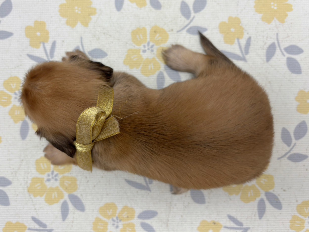 赤ちゃん写真2-3