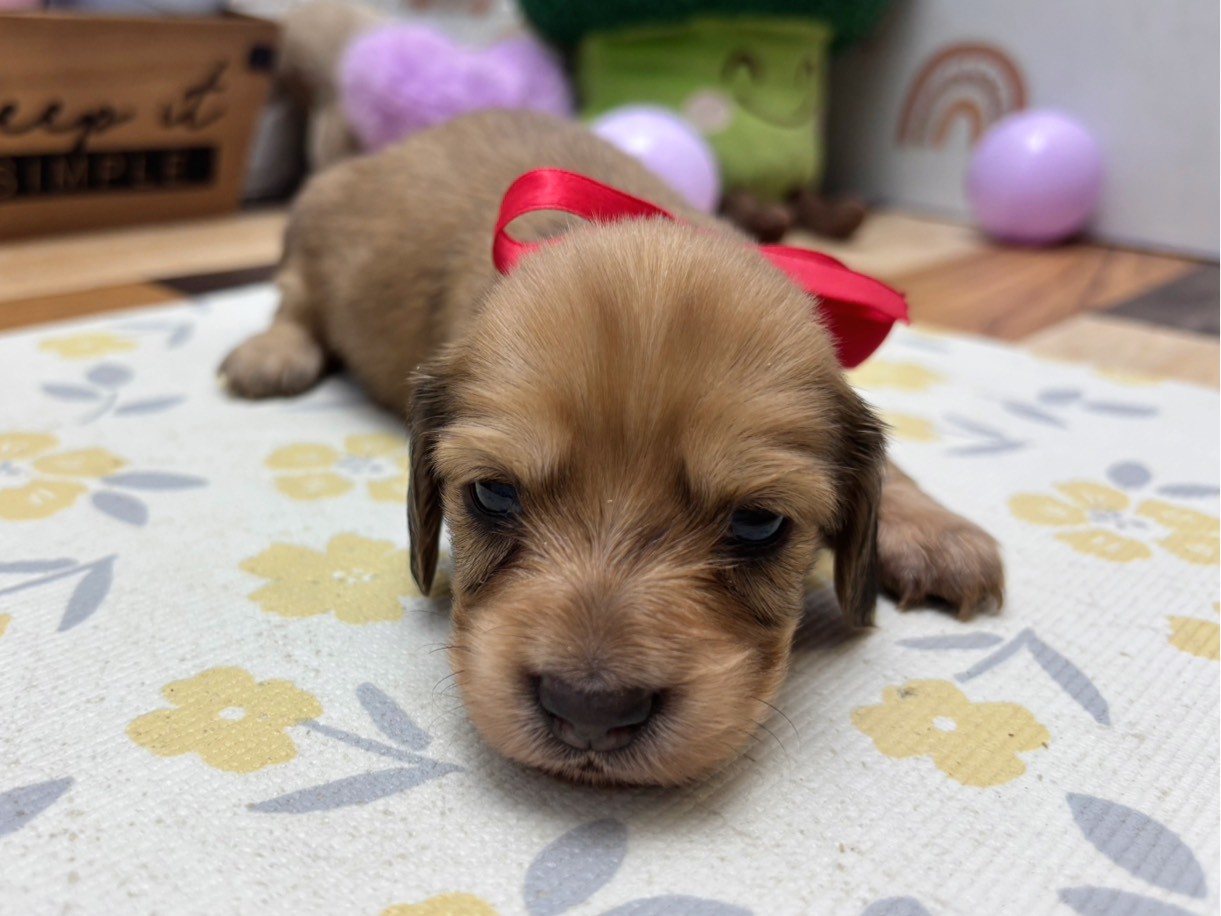 赤ちゃん写真2-1