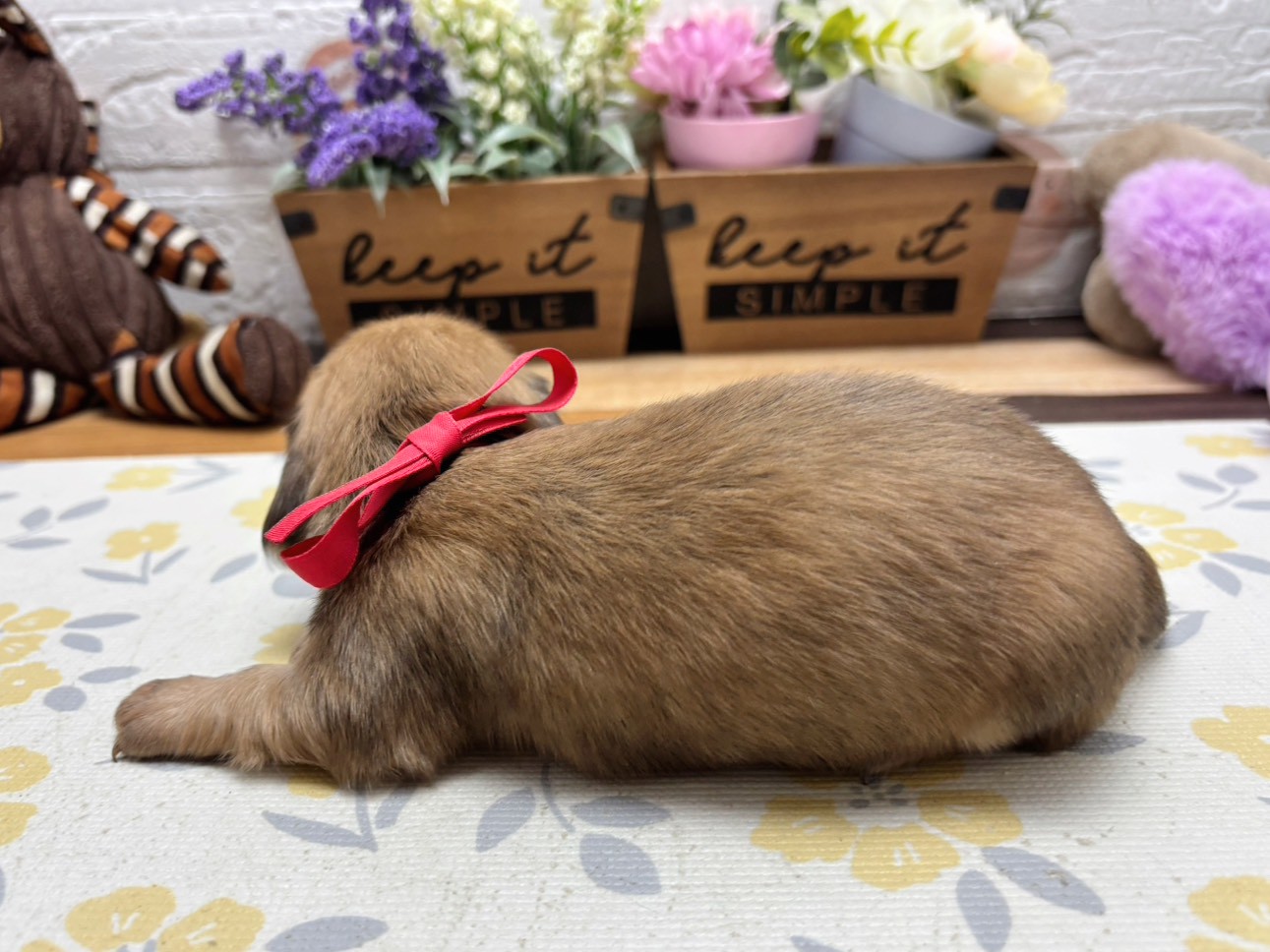 赤ちゃん写真2-2