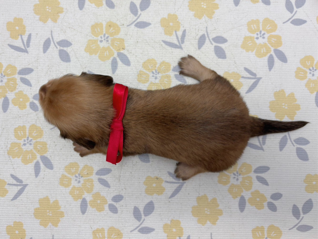 赤ちゃん写真2-3