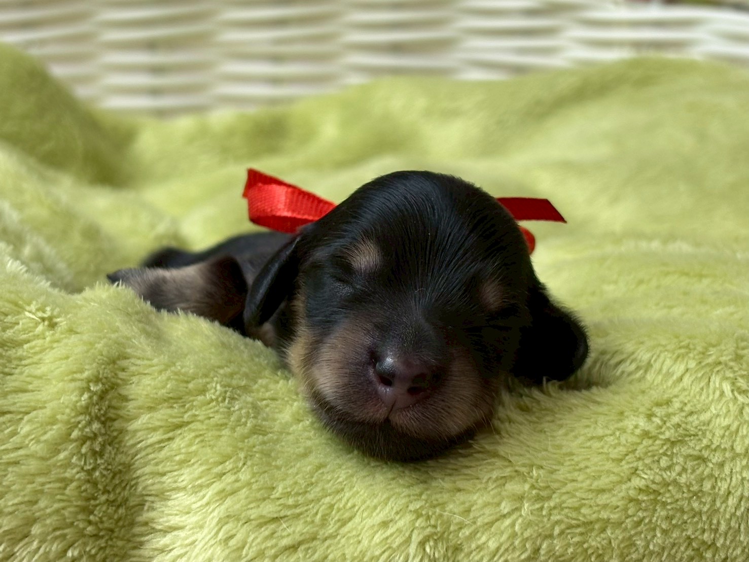 赤ちゃん写真1-1