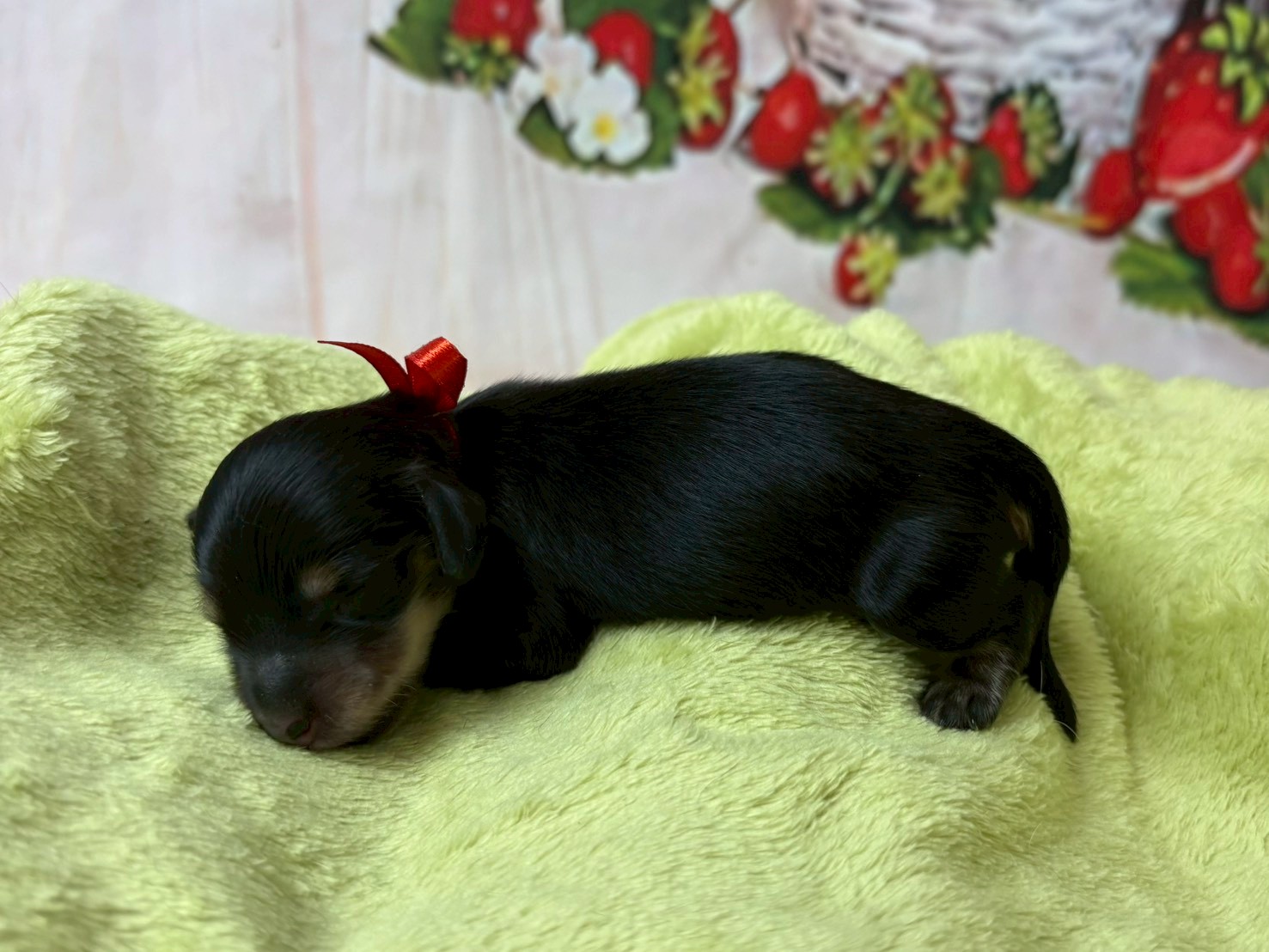 赤ちゃん写真1-2