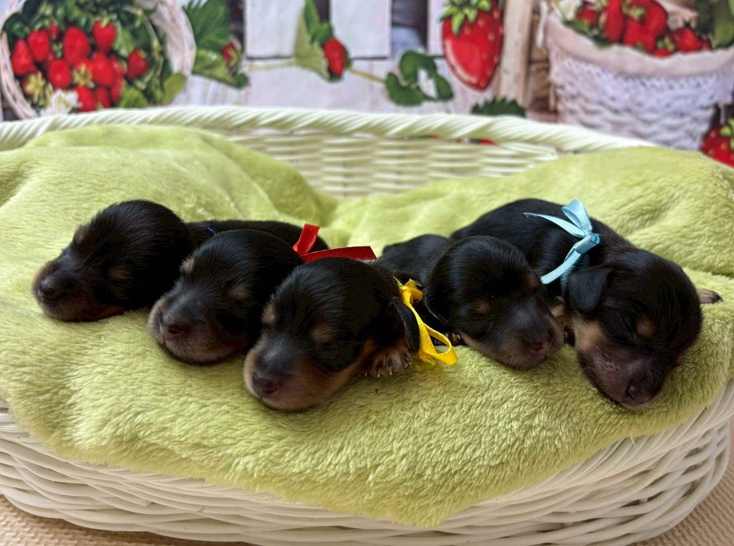 赤ちゃん写真1-3