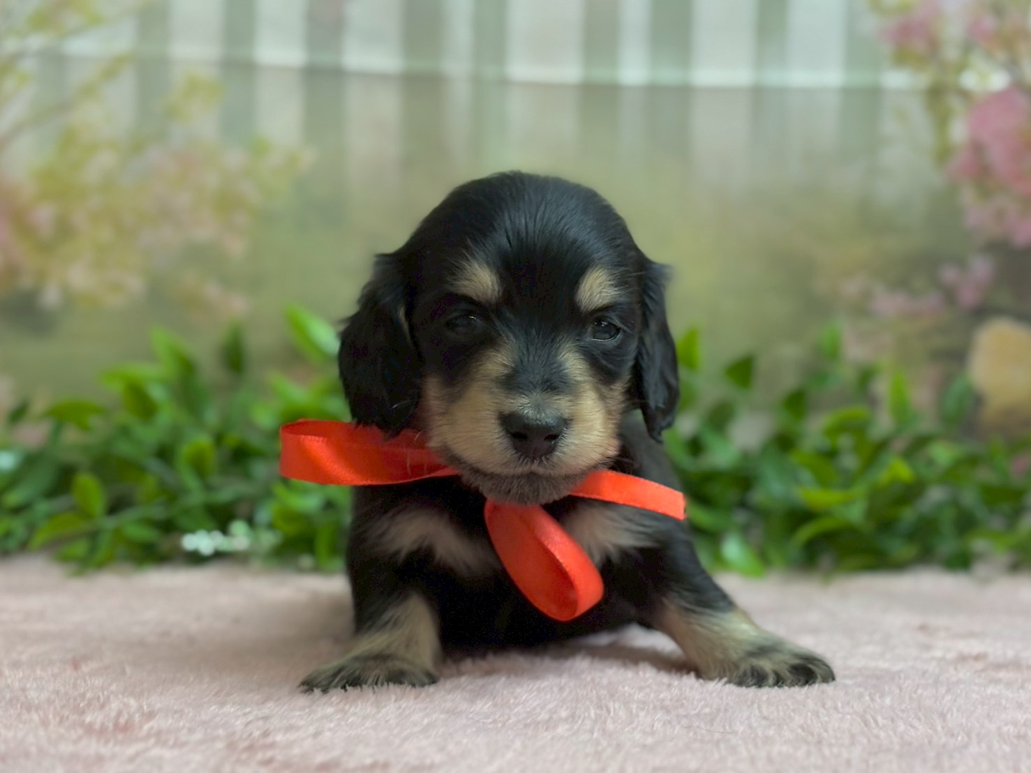 赤ちゃん写真2-1