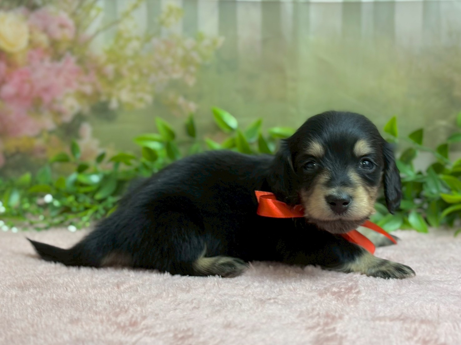 赤ちゃん写真2-2