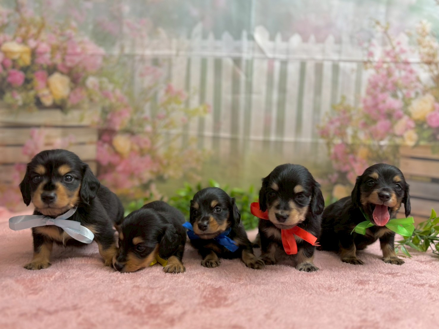 赤ちゃん写真2-3