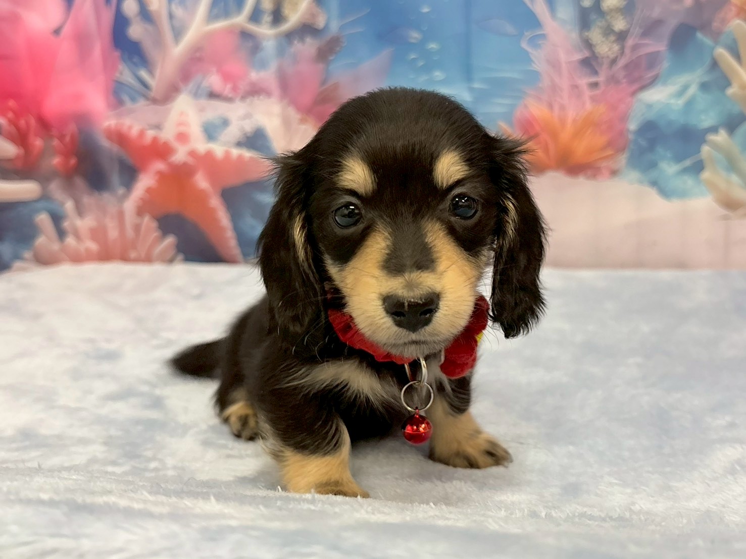 赤ちゃん写真3-1