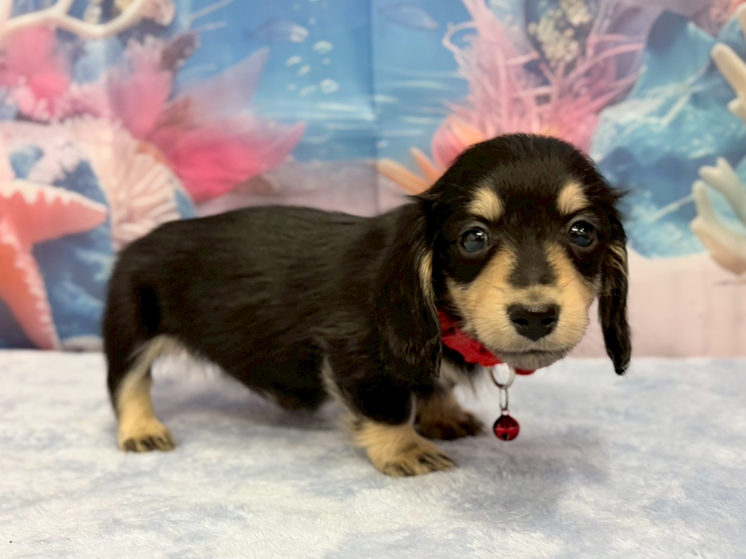 赤ちゃん写真3-2