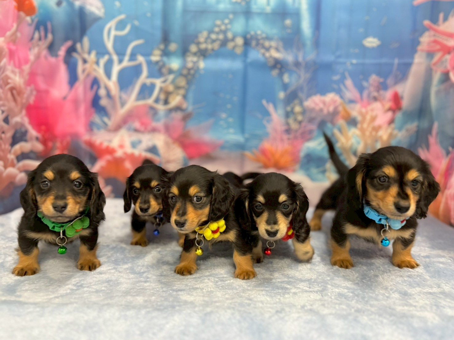 赤ちゃん写真3-3