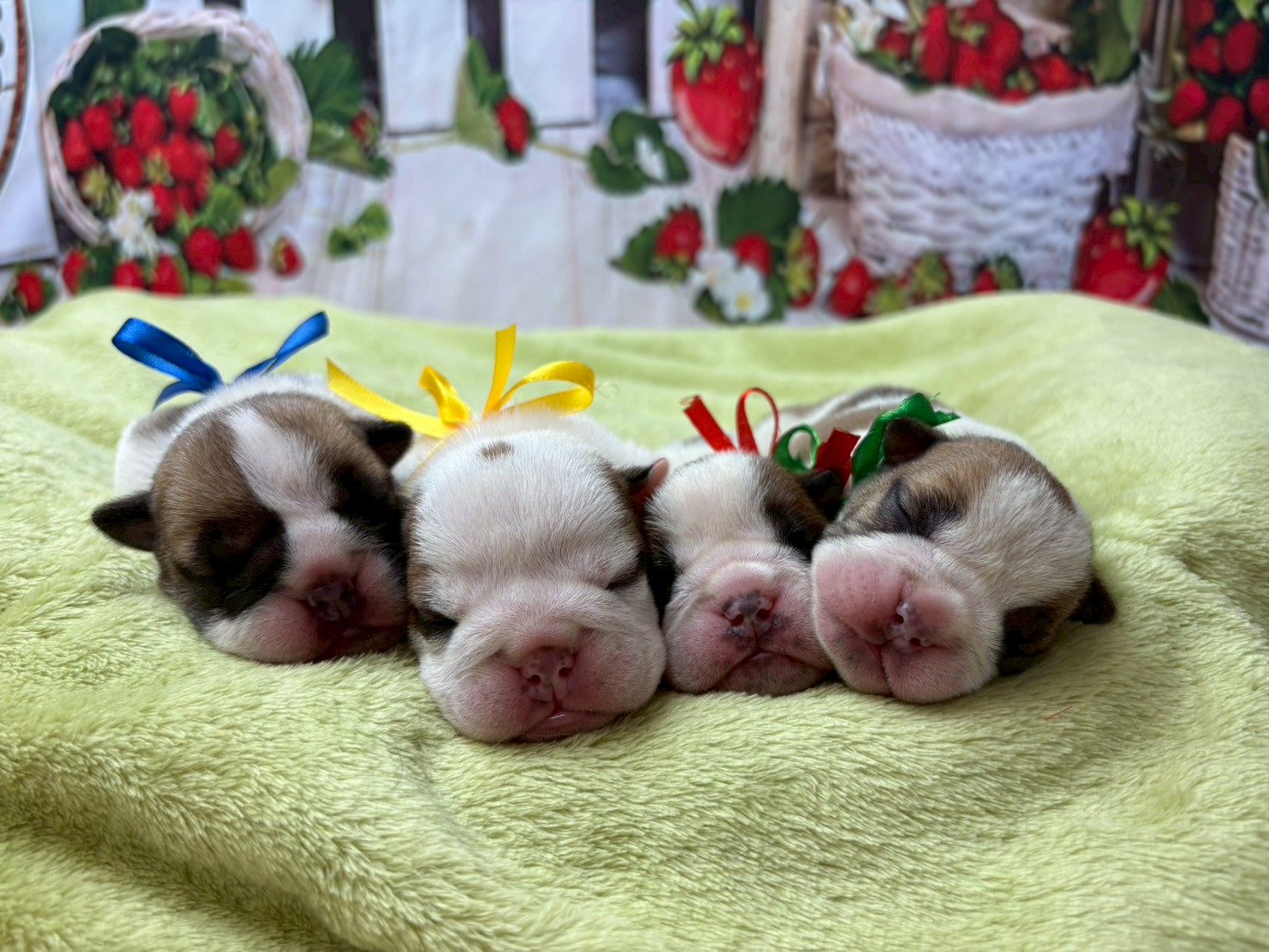 赤ちゃん写真1-3