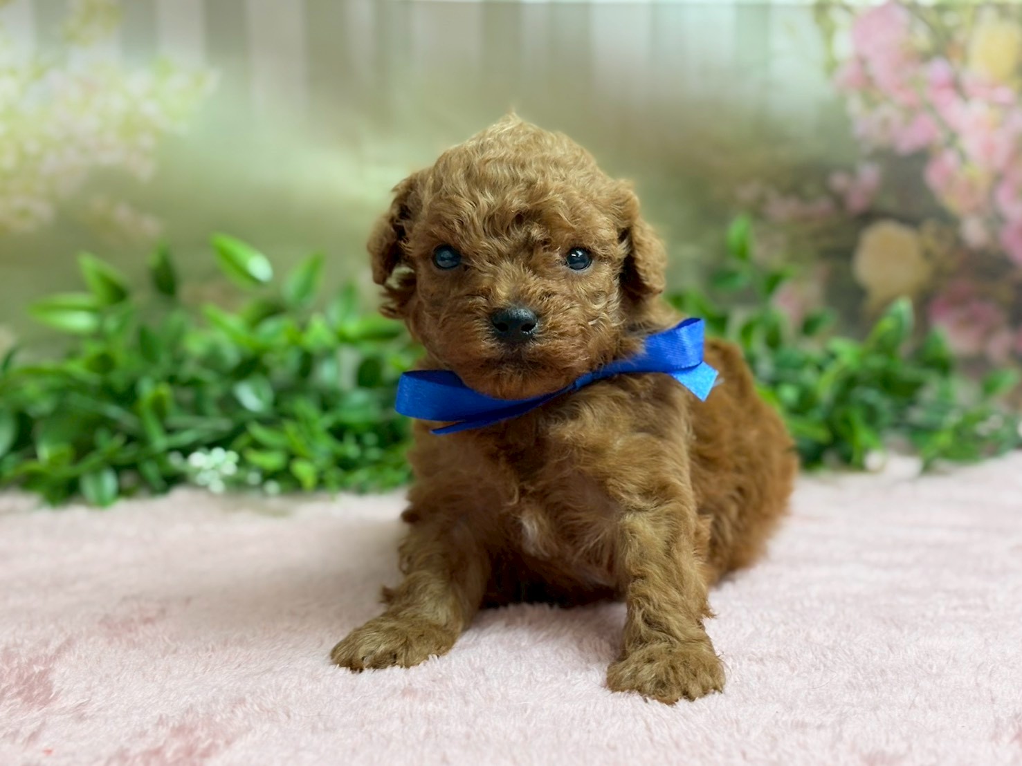 赤ちゃん写真2-1