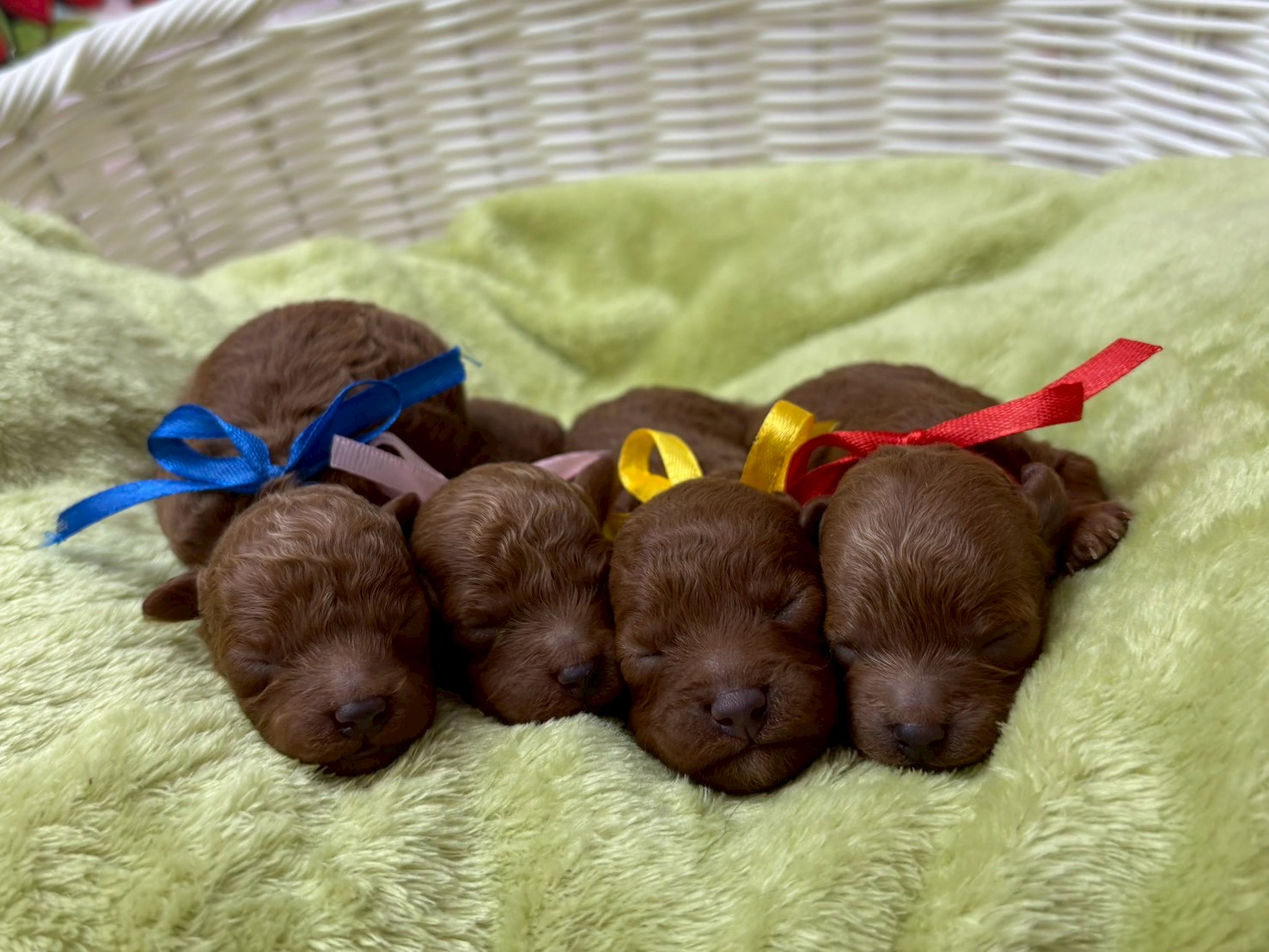 赤ちゃん写真1-3