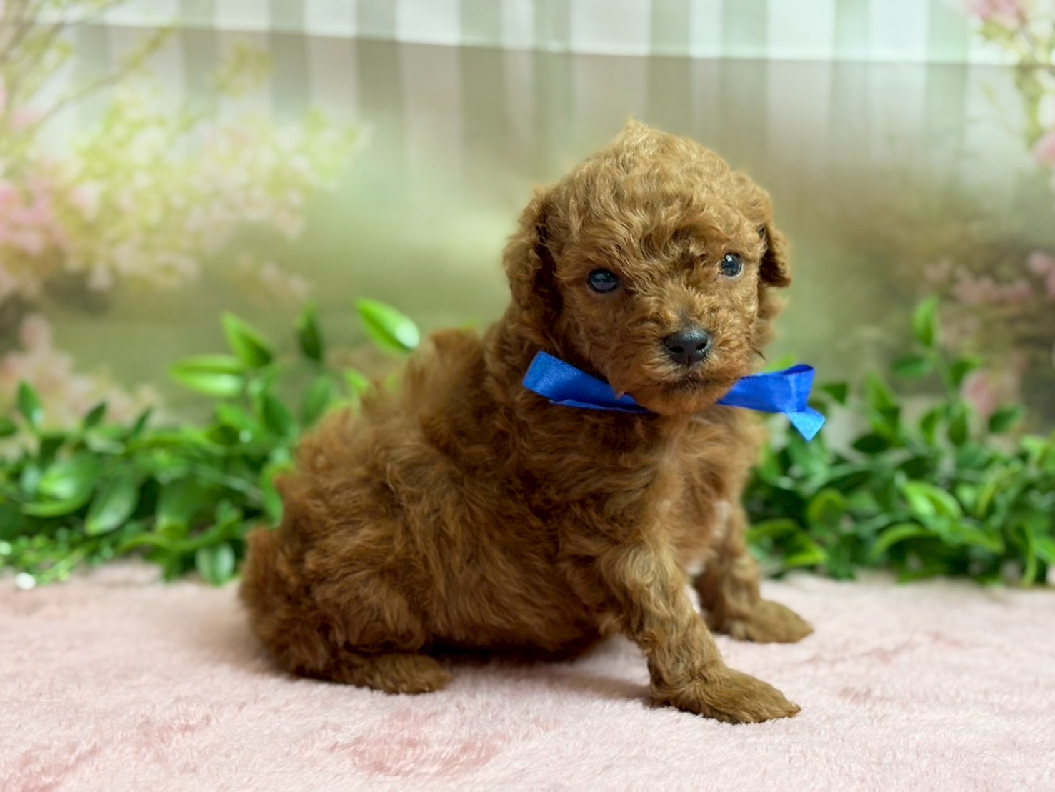 赤ちゃん写真2-2