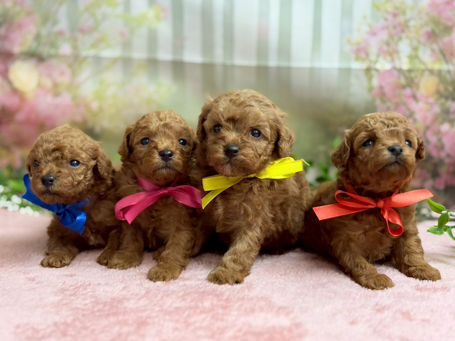 赤ちゃん写真2-3