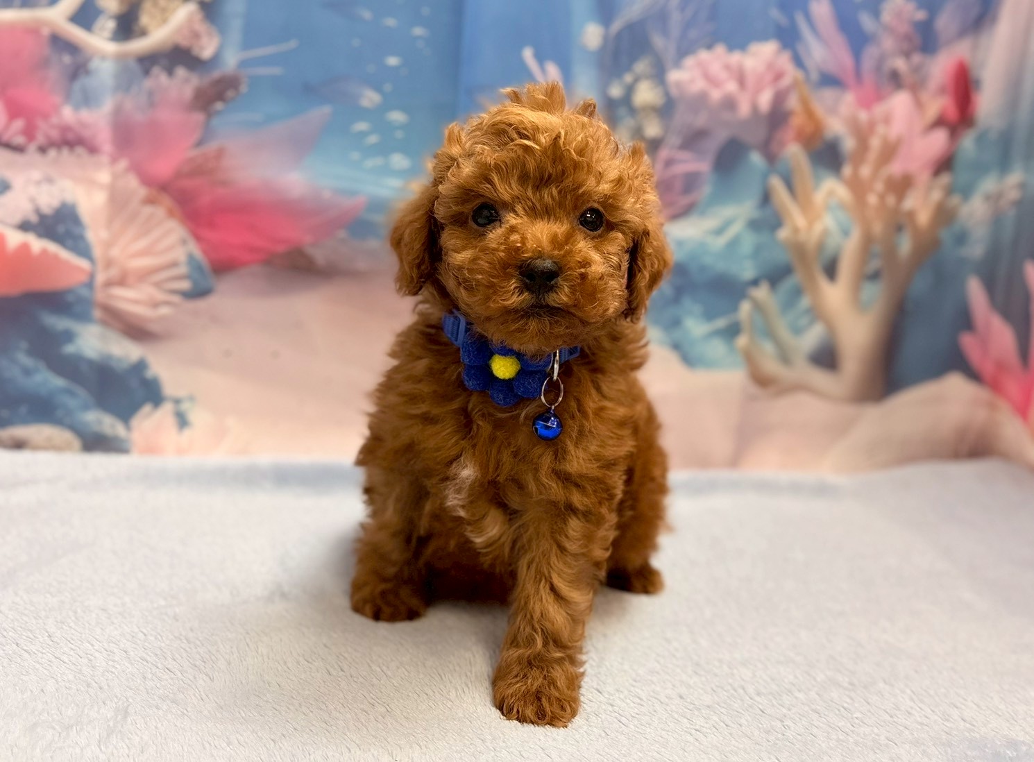 赤ちゃん写真3-1